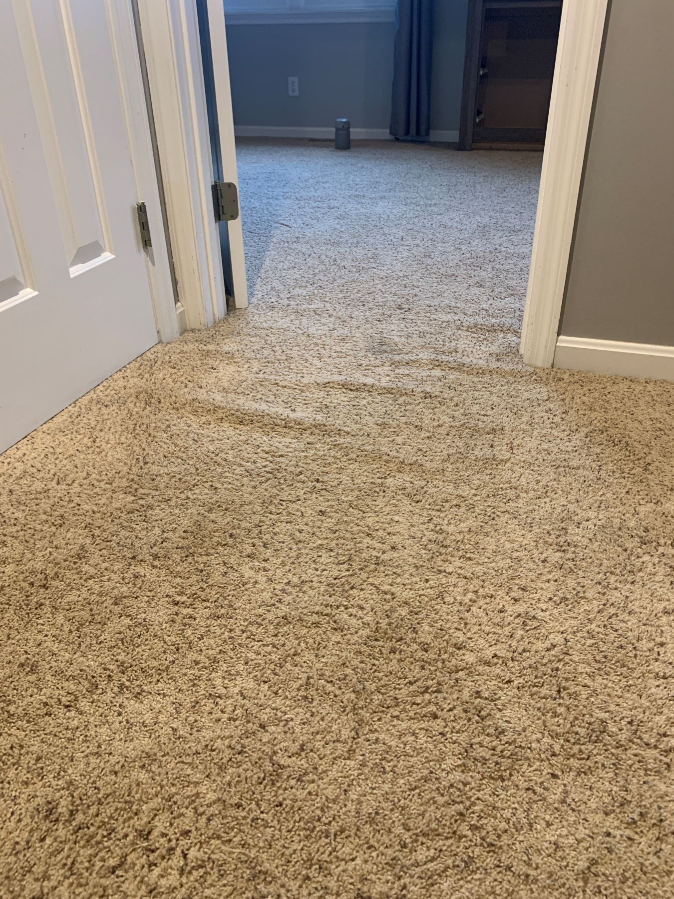 Before Cleaning