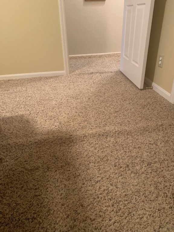 Carpet Cleaning